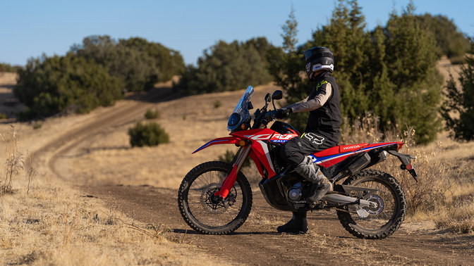 Honda CRF 300 Rally 2025