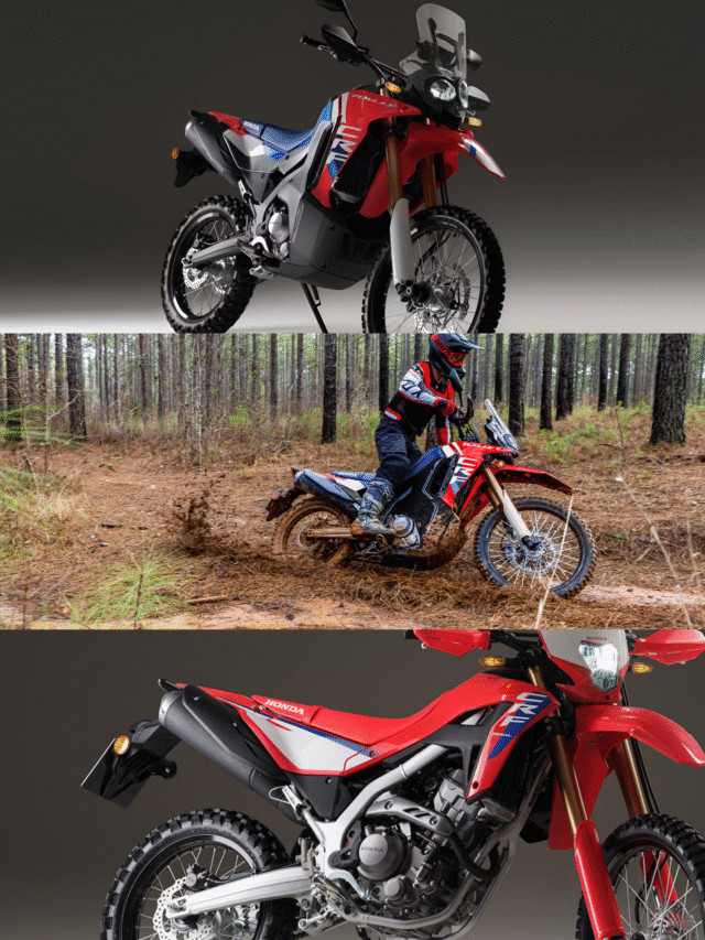 Honda CRF300 Rally 2025 Is Here – Ready to Conquer Roads, Trails & Everything In Between!