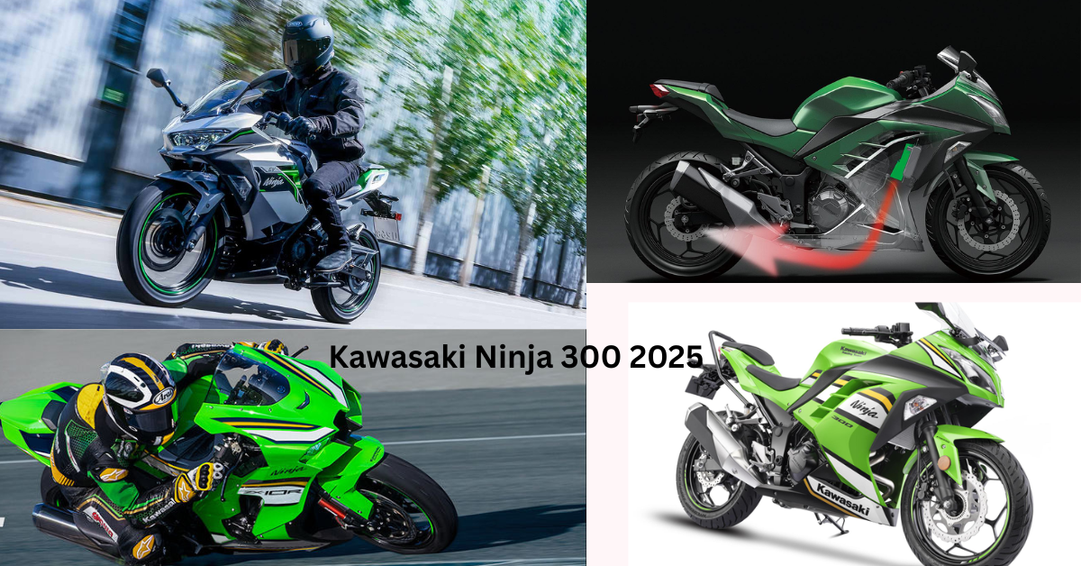 Kawasaki Ninja 300 2025